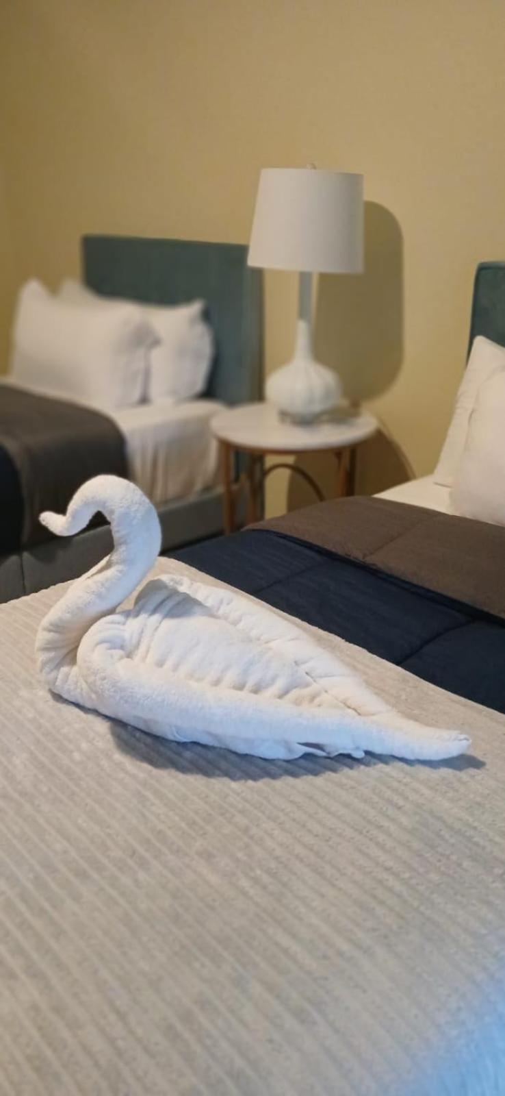 Sky'S Villa Resort Buff Bay 外观 照片